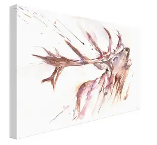 Roar - obraz na płótnie