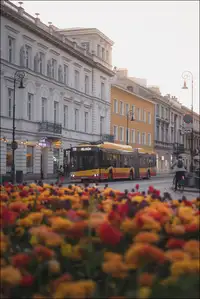 Kwiaty - plakat premium