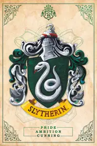Harry Potter Slytherin - plakat