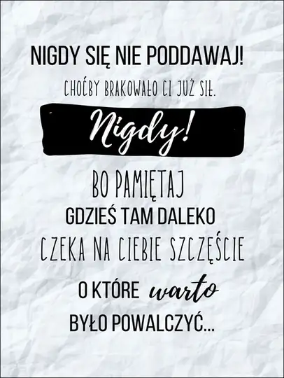 Nigdy się nie podawaj II - plakat