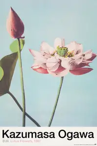Lotus Flowers Kazumasa Ogawa - plakat