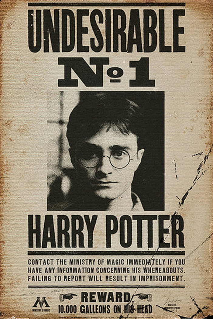 Harry Potter Poszukiwany - plakat