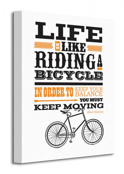 Asintended Riding A Bicycle - Obraz na płótnie 3