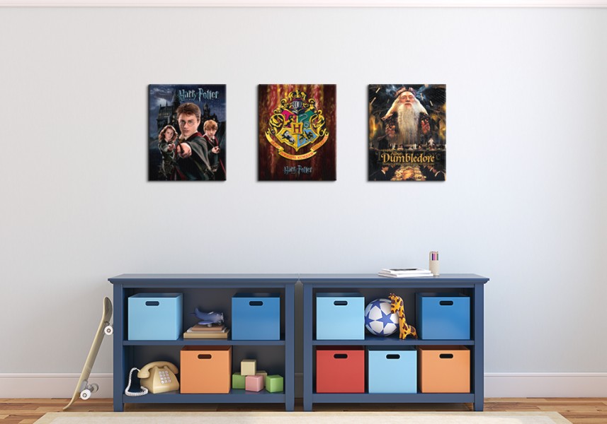 Harry Potter Harry Ron Hermione - Obraz na płótnie 40x50 cm