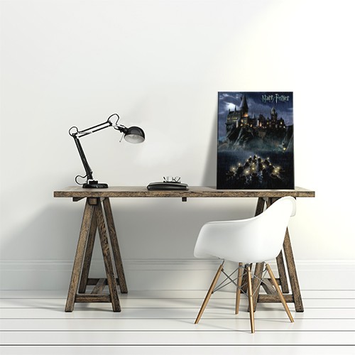 Harry Potter Hogwarts School - Obraz na płótnie 40x50 cm