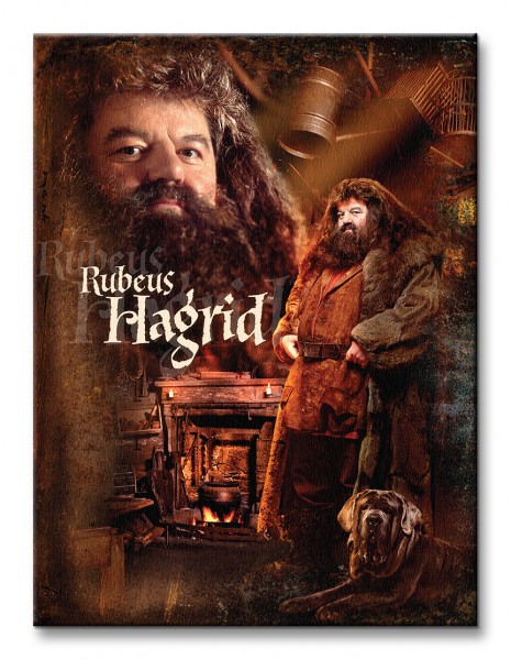 Harry Potter Hagrid - Obraz na płótnie 30x40 cm