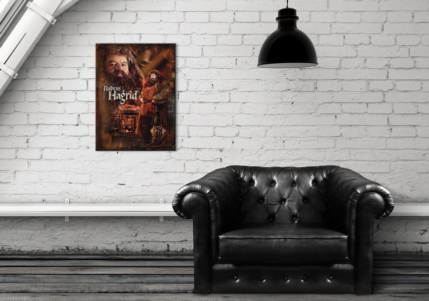 Harry Potter Hagrid - Obraz na płótnie 30x40 cm