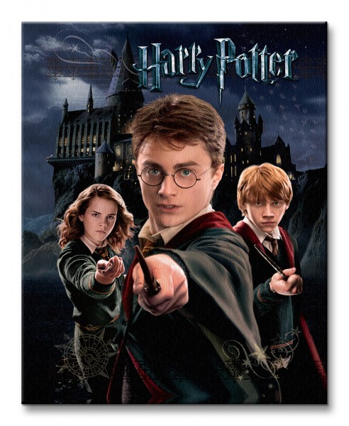 Harry Potter Harry Ron Hermione - Obraz na płótnie 40x50 cm