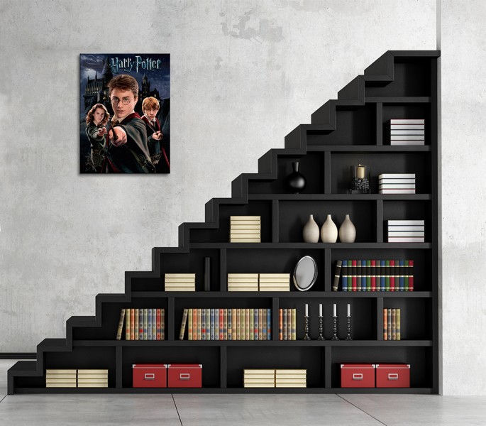 Harry Potter Harry Ron Hermione - Obraz na płótnie 30x40 cm