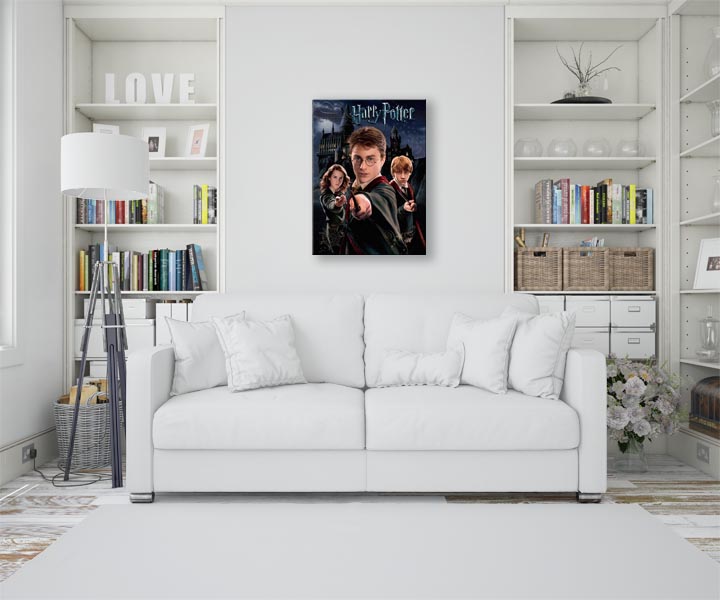 Harry Potter Harry Ron Hermione - Obraz na płótnie 30x40 cm