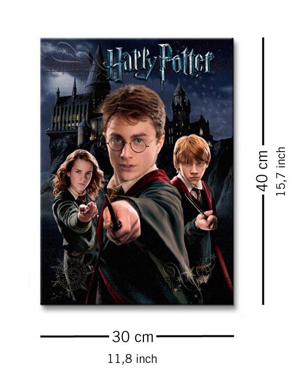 Harry Potter Harry Ron Hermione - Obraz na płótnie 30x40 cm