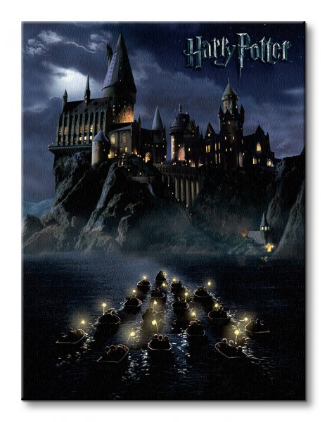 Harry Potter (Hogwarts School) - Obraz na płótnie 60x80 cm