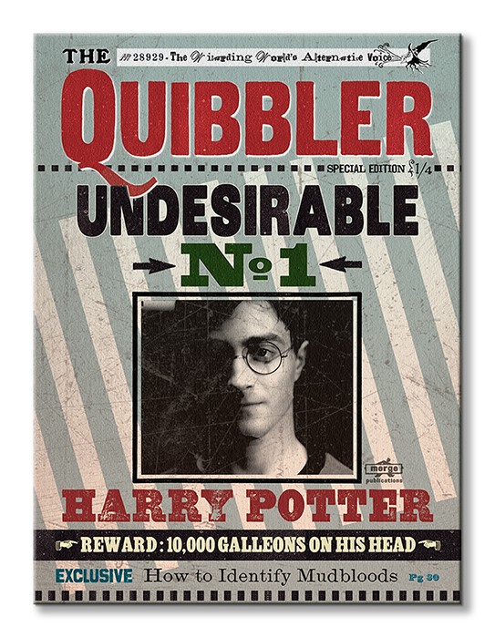 Harry Potter (Quibbler) - Obraz na płótnie 60x80 cm