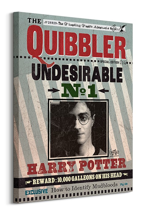 Harry Potter (Quibbler) - Obraz na płótnie 60x80 cm