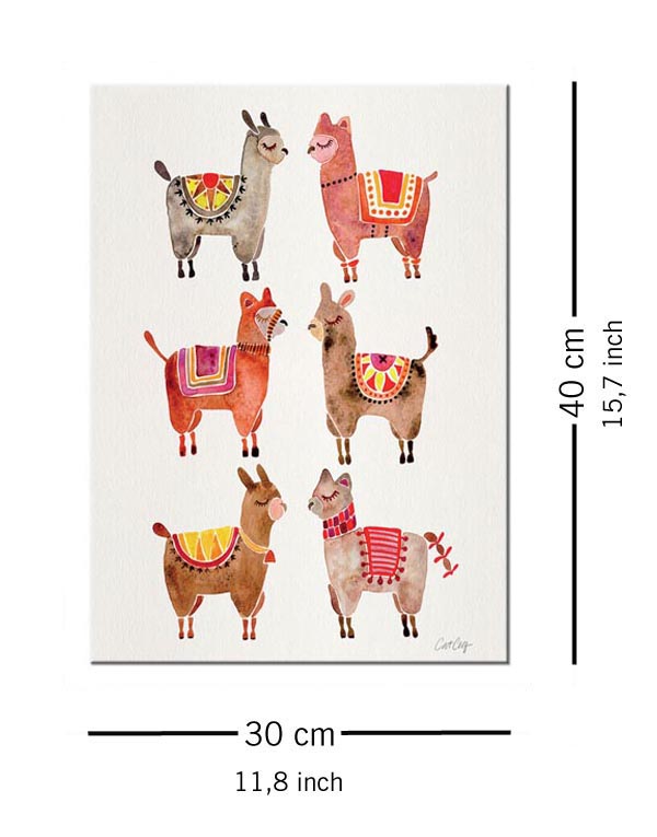 Alpacas - Obraz na płótnie 30x40 cm