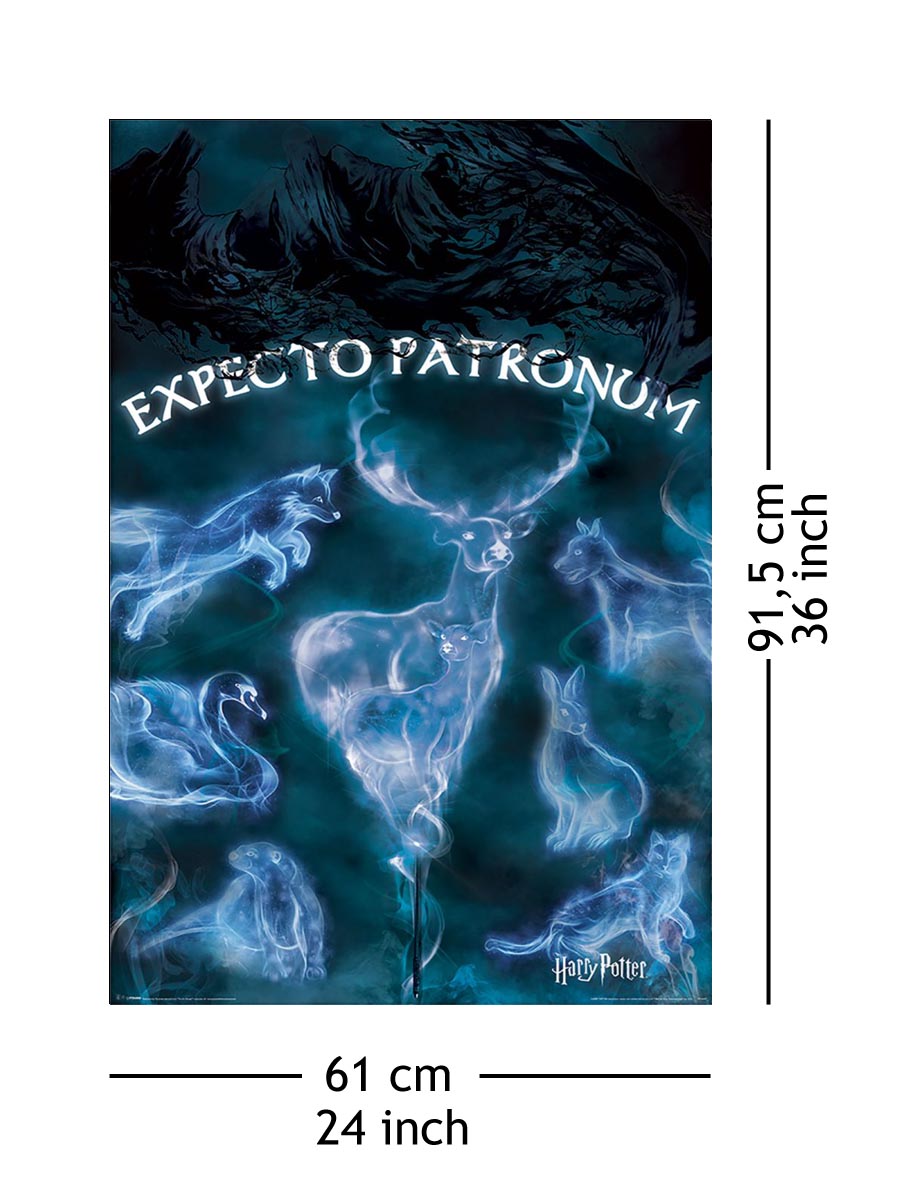 Harry Potter Patronus - plakat 61x91,5 cm
