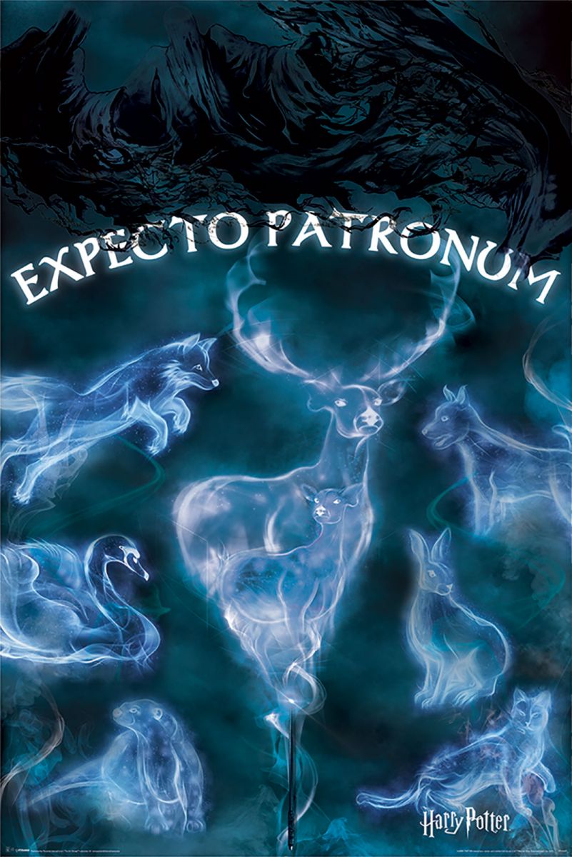 Harry Potter Patronus - plakat 61x91,5 cm