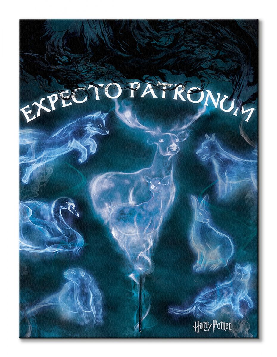 Harry Potter (Patronus) - obraz na płótnie 60x80 cm