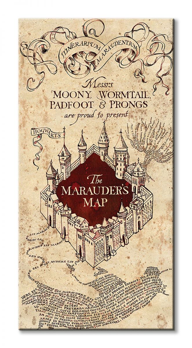 Harry Potter (The Marauders Map) - Obraz na płótnie 50x100 cm