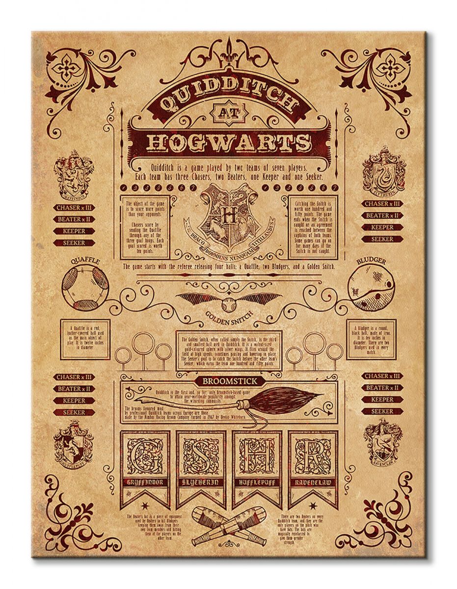 Harry Potter (Quidditch At Hogwarts) 20x29.5cm MDF Wooden Wall Art Print main image 0