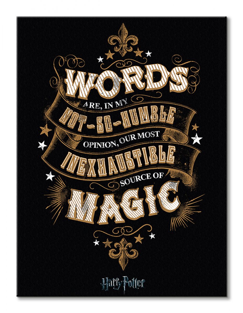Harry Potter Words - obraz na płótnie 60x80 cm