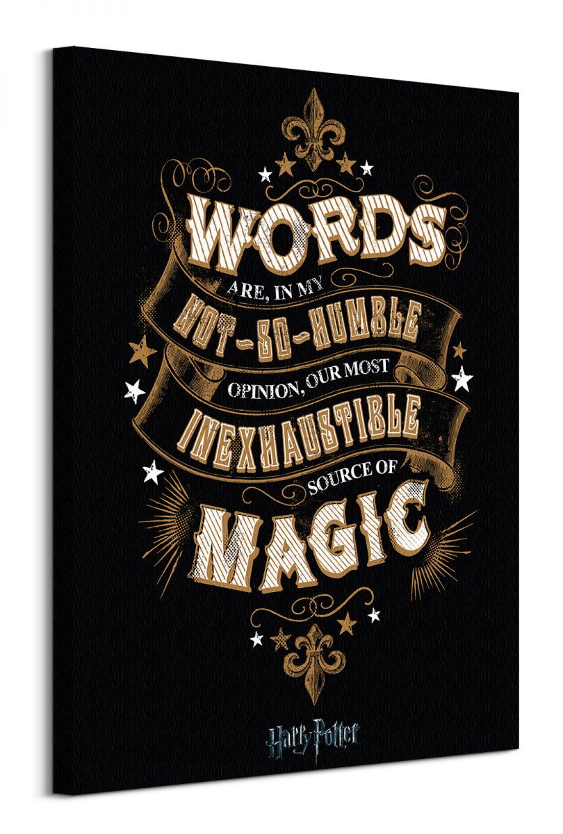 Harry Potter Words - obraz na płótnie 60x80 cm