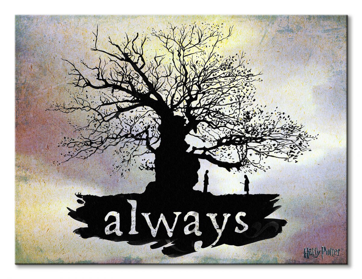 Harry Potter Always - obraz na płótnie 80x60 cm