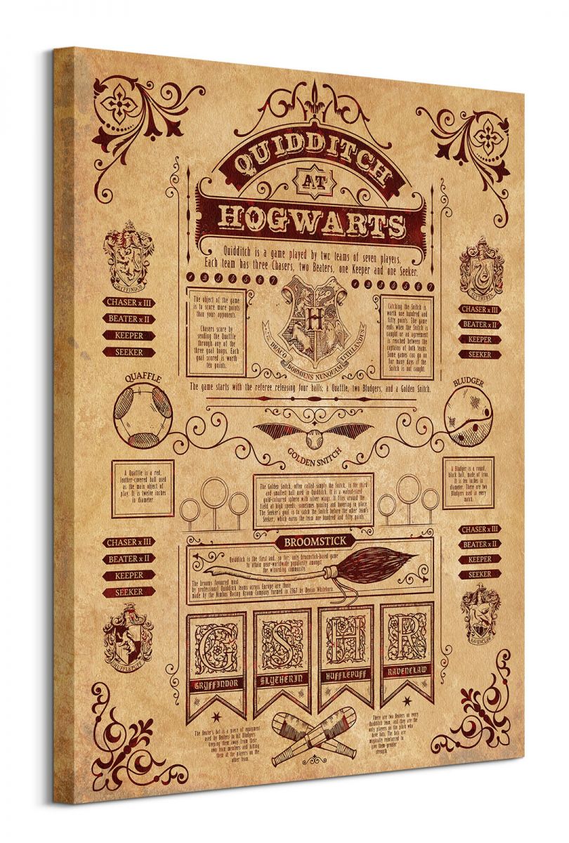 Harry Potter (Quidditch At Hogwarts) - obraz na płótnie 60x80 cm