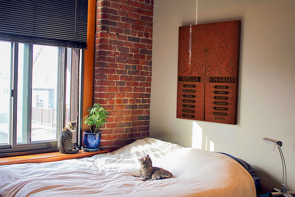 Harry Potter (Spells