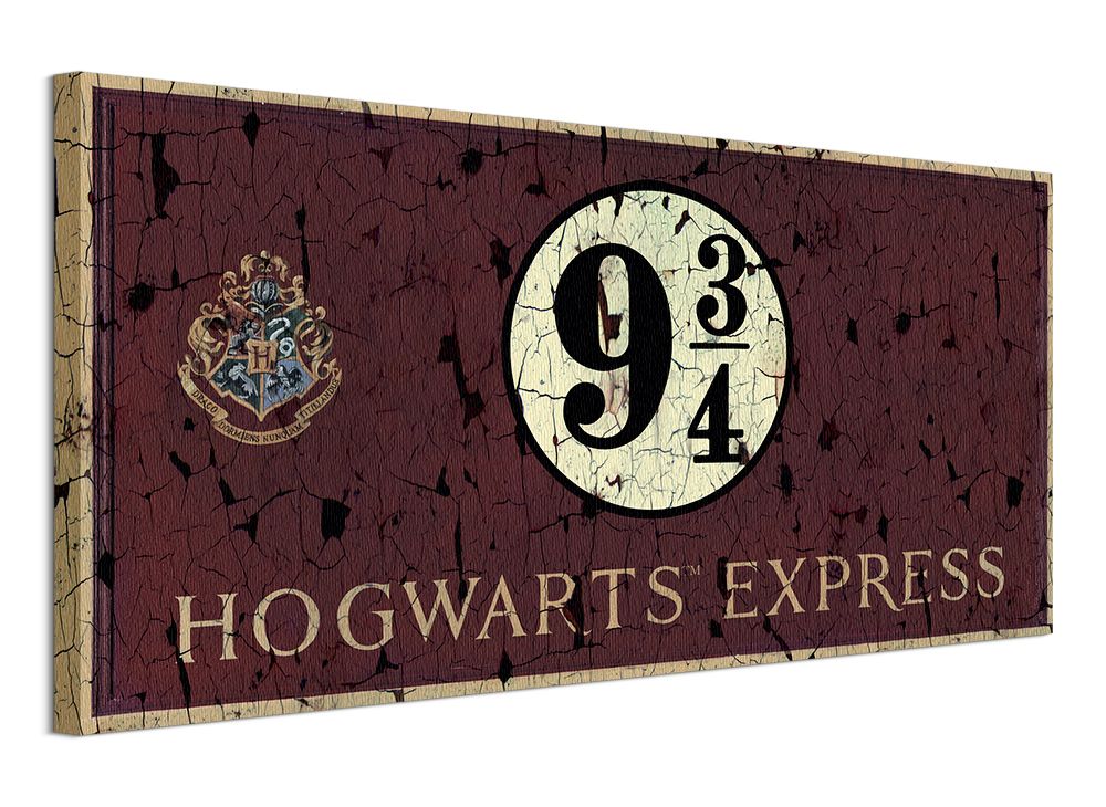 Harry Potter (Hogwarts Express) - Obraz na płótnie 100x50 cm