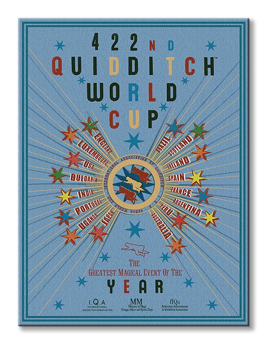 Harry Potter (Quidditch World Cup) - Obraz na płótnie 60x80 cm