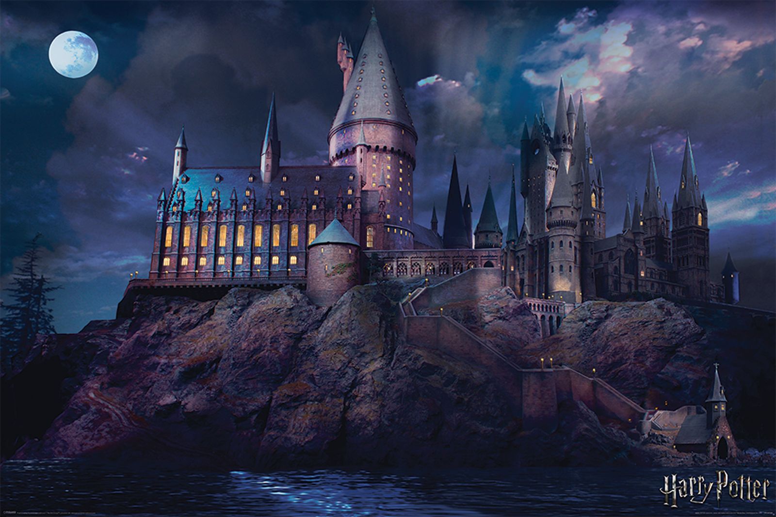 Harry Potter Hogwarts - plakat 91,5x61 cm