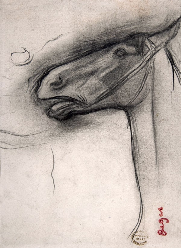 Head of a Horse, Edgar Degas - plakat 21x29,7 cm
