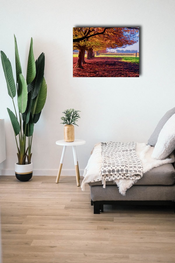 Kolorowy Krajobraz - obraz na płótnie 80x60 cm