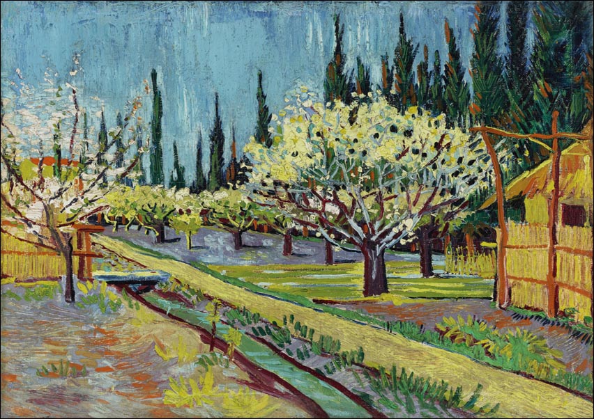 Orchard Bordered by Cypresses, Vincent Van Gogh - plakat 59,4x42 cm