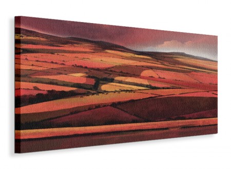 Afternoon Shadows - Obraz na płótnie 60x30 cm